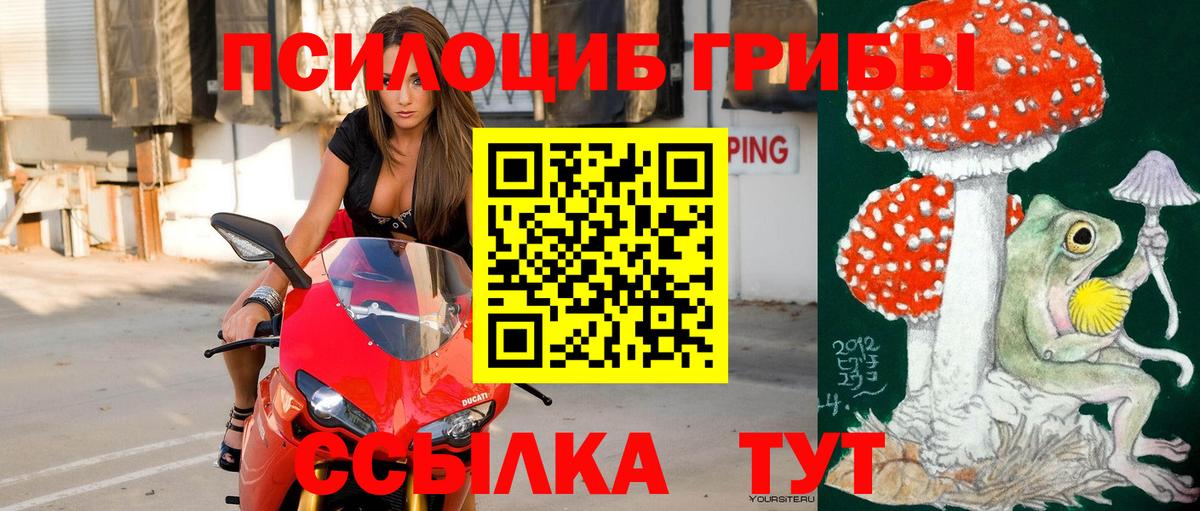 Нижний Новгород  Псилоцибиновые грибы прущие грибы  Галлюциногенные грибы Psilocybe  Вход с VPN 